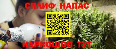 хмурый Сланцы